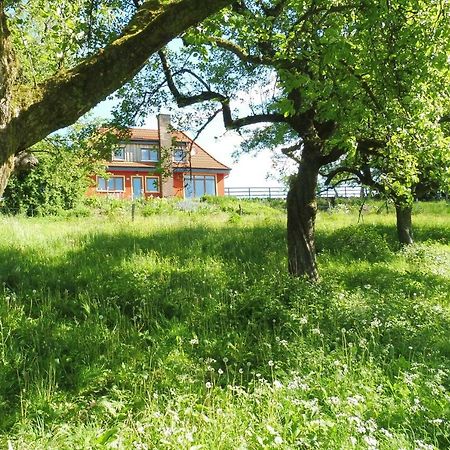 Kleine Villa Im Wilden Garten Gummersbach Esterno foto