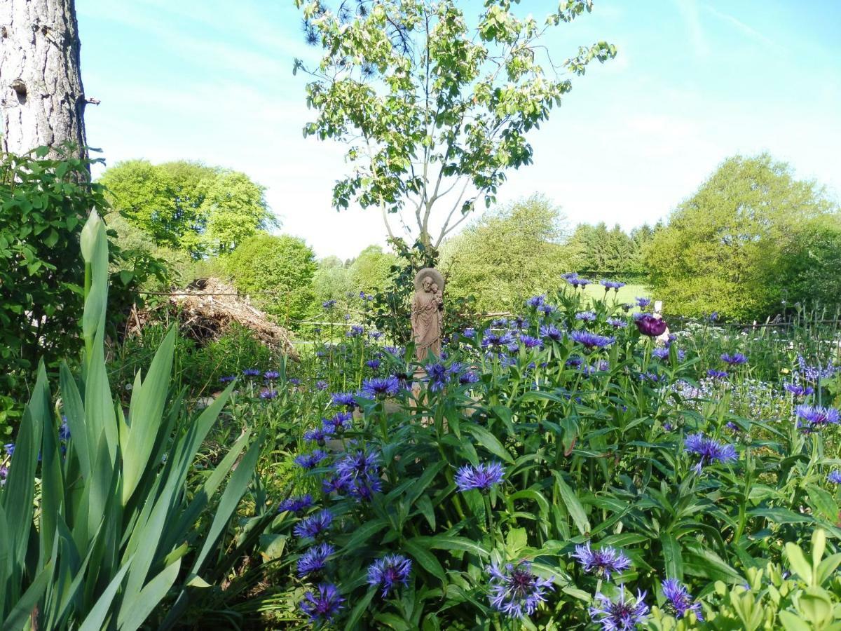 Kleine Villa Im Wilden Garten Gummersbach Esterno foto