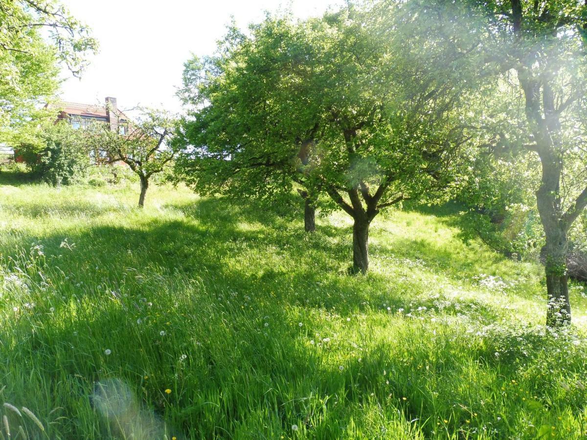 Kleine Villa Im Wilden Garten Gummersbach Esterno foto