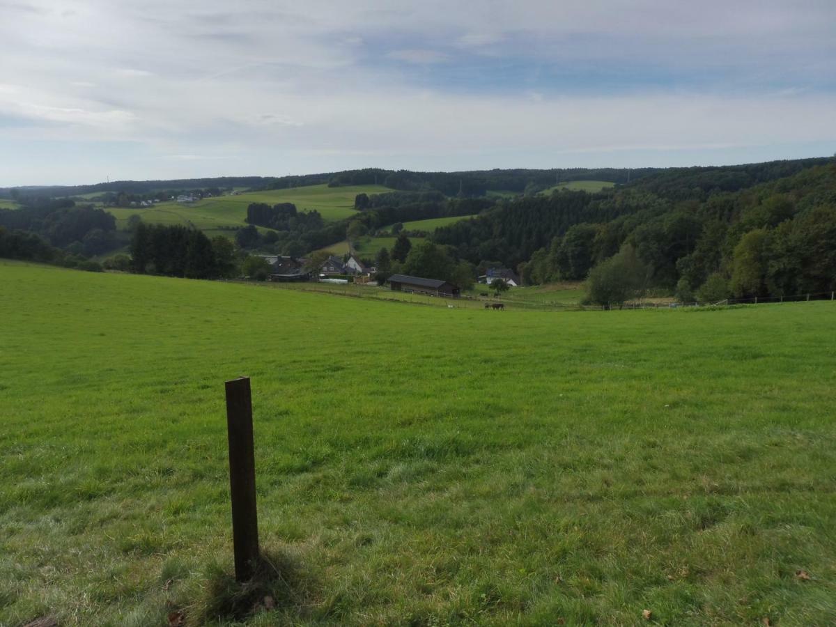 Kleine Villa Im Wilden Garten Gummersbach Esterno foto