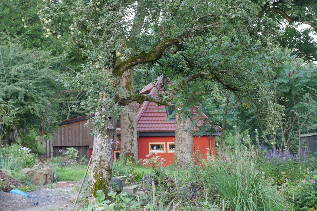 Kleine Villa Im Wilden Garten Gummersbach Esterno foto
